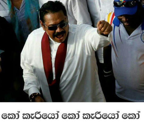 කැරියෝ-Google-Search.jpg