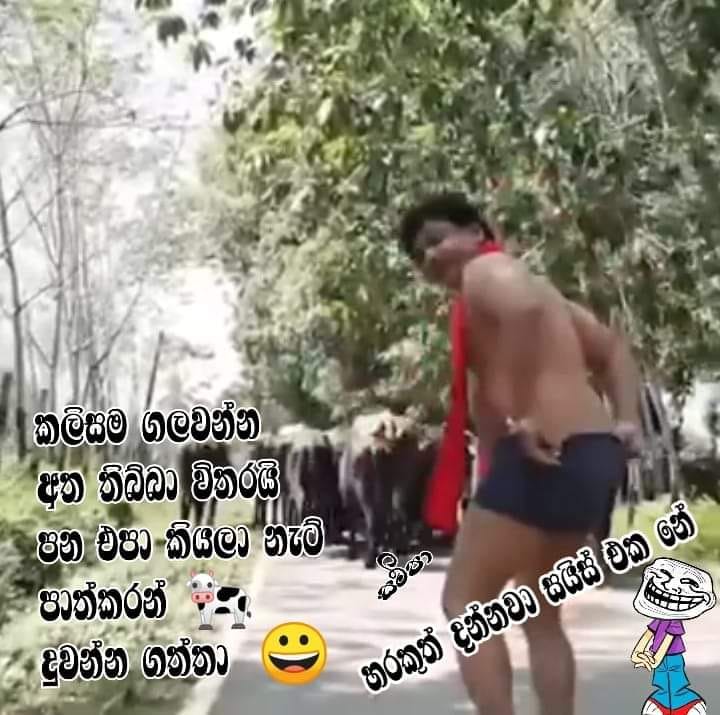 ගෑණිත් දාලා ගියේ පොඩියි කියලා තමා 😀😀.jpg