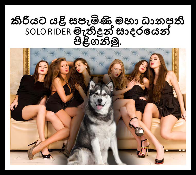 නූතන සිරිසඝබ.jpg
