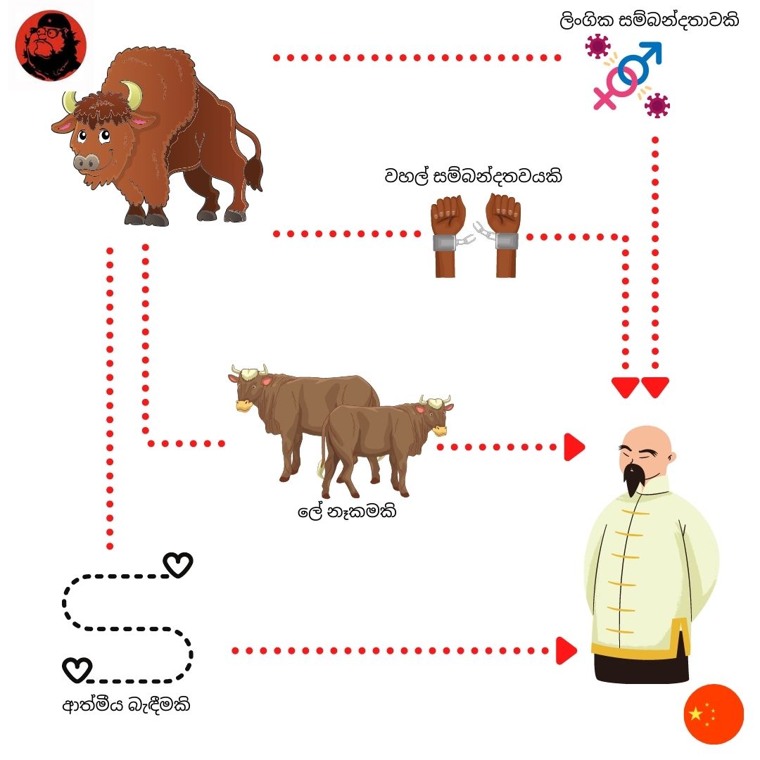 ලිංගික සම්බන්දතාවකි (1).jpg