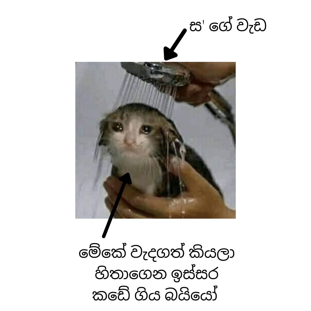 ස' ගේ වැඩ.jpg