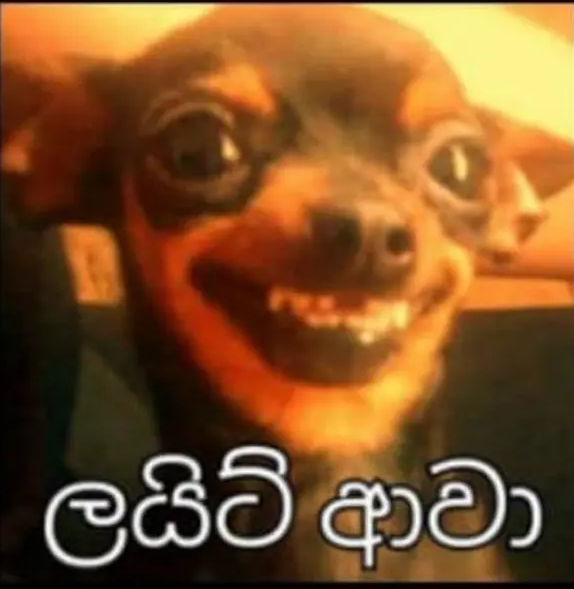 012.PNG