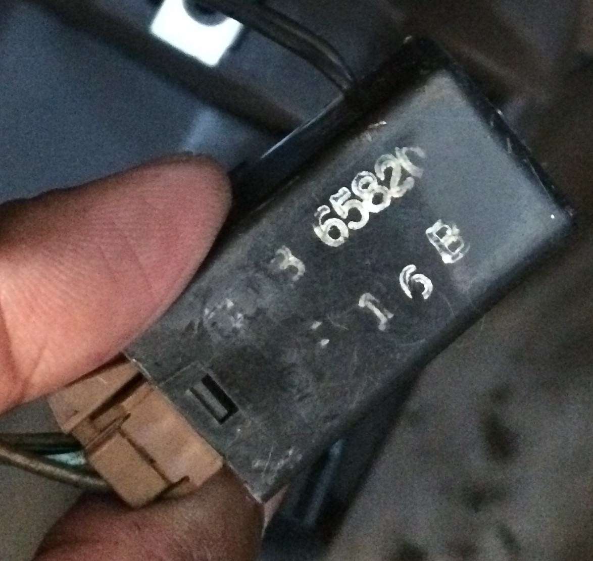 02.jpg