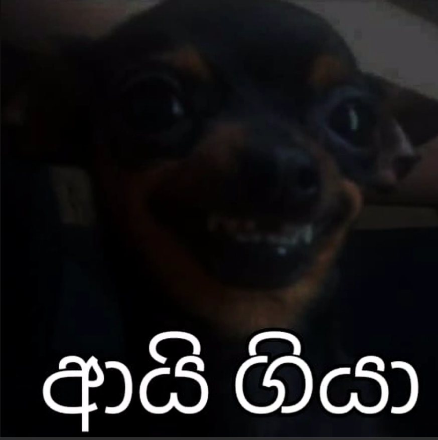 033.PNG