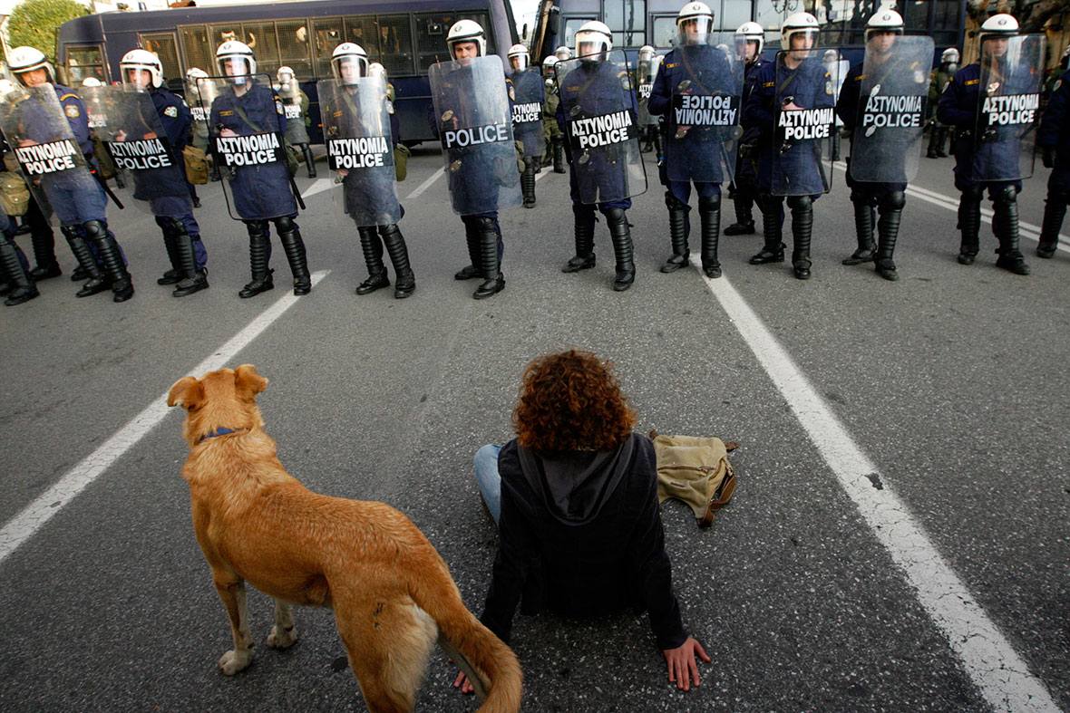07-The-Story-of-Loukanikos-and-Other-Greek-Riot-Dogs.jpg