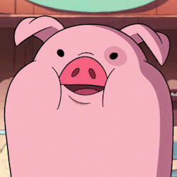 0bf69841daf383669d23c5955e11b69a.gif