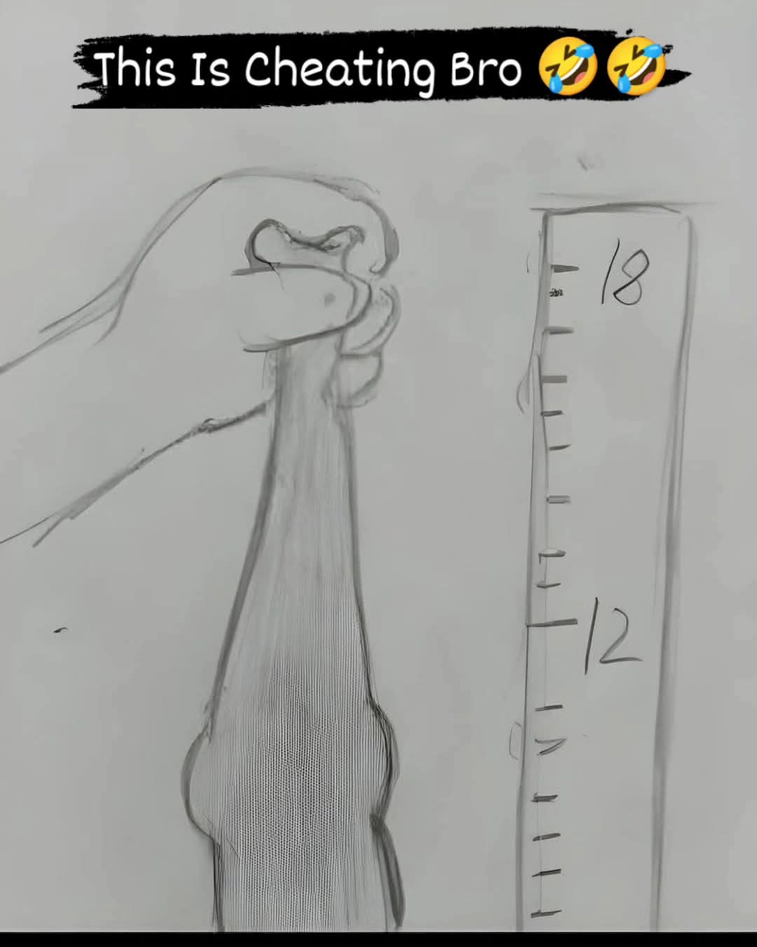 1000001007.jpg