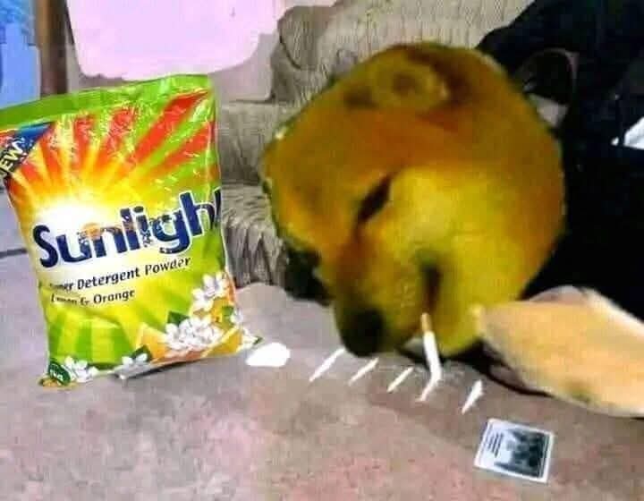 1000001369.jpg