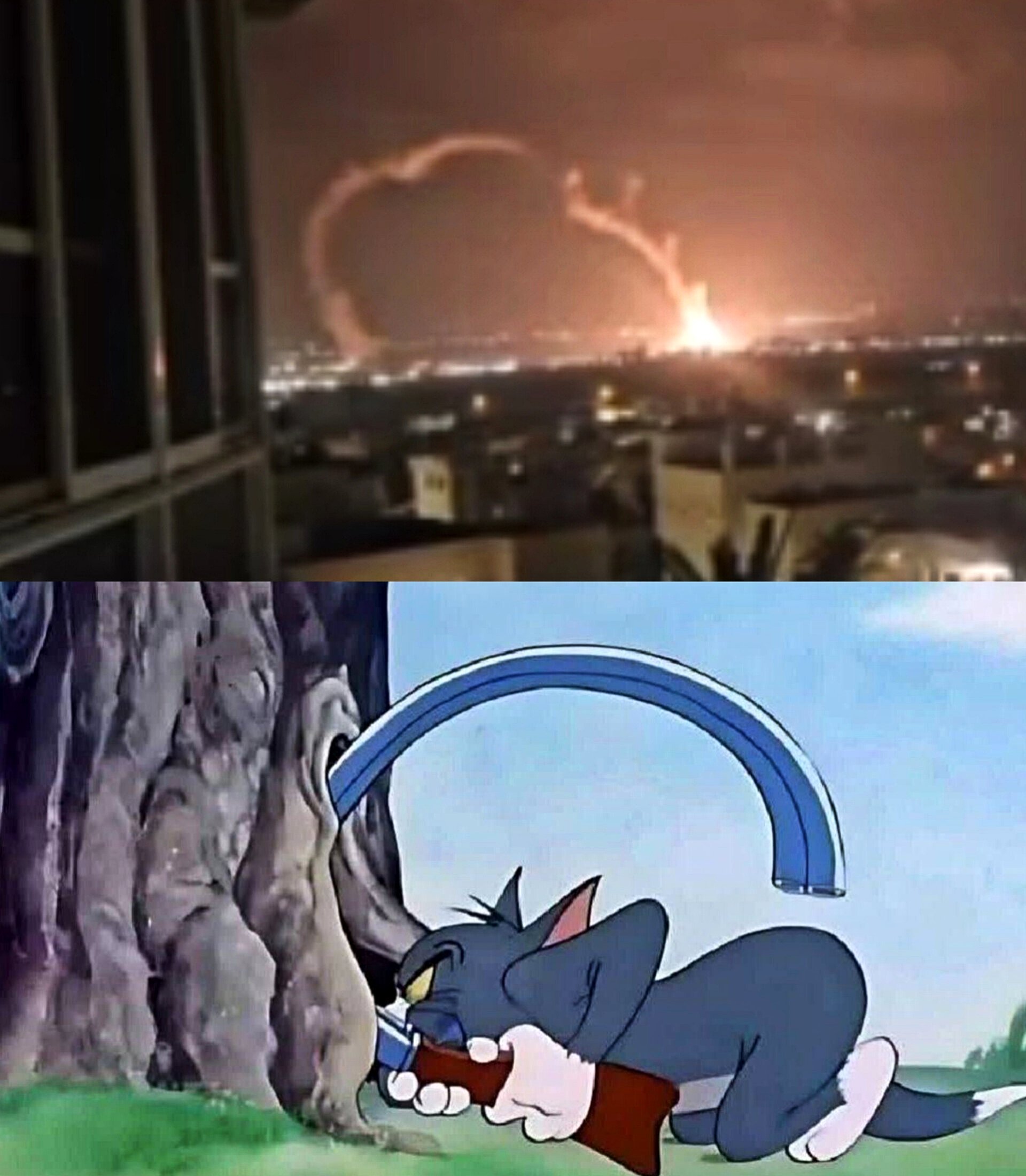 1000001550.jpg