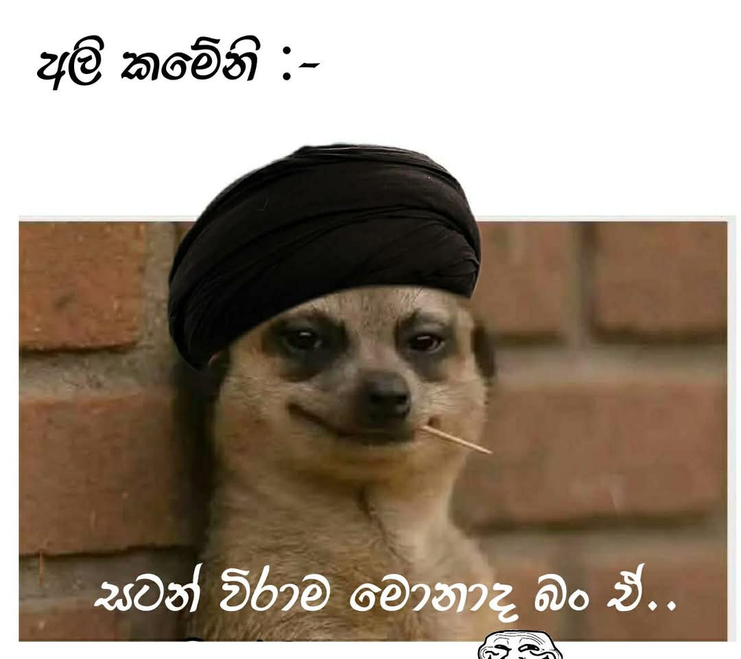 1000001580.jpg