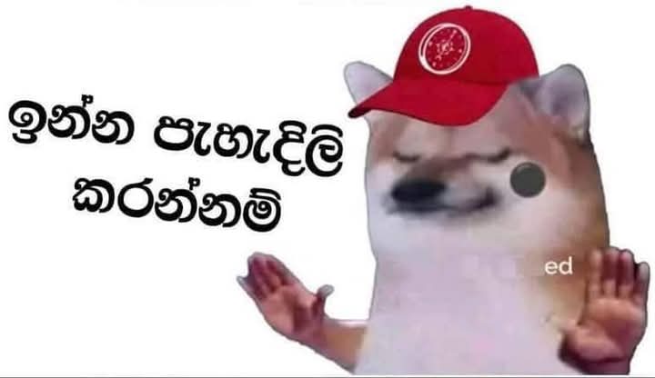 1000003374.jpg