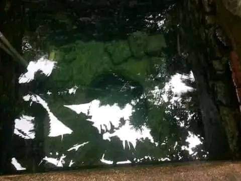 1000006125.jpg