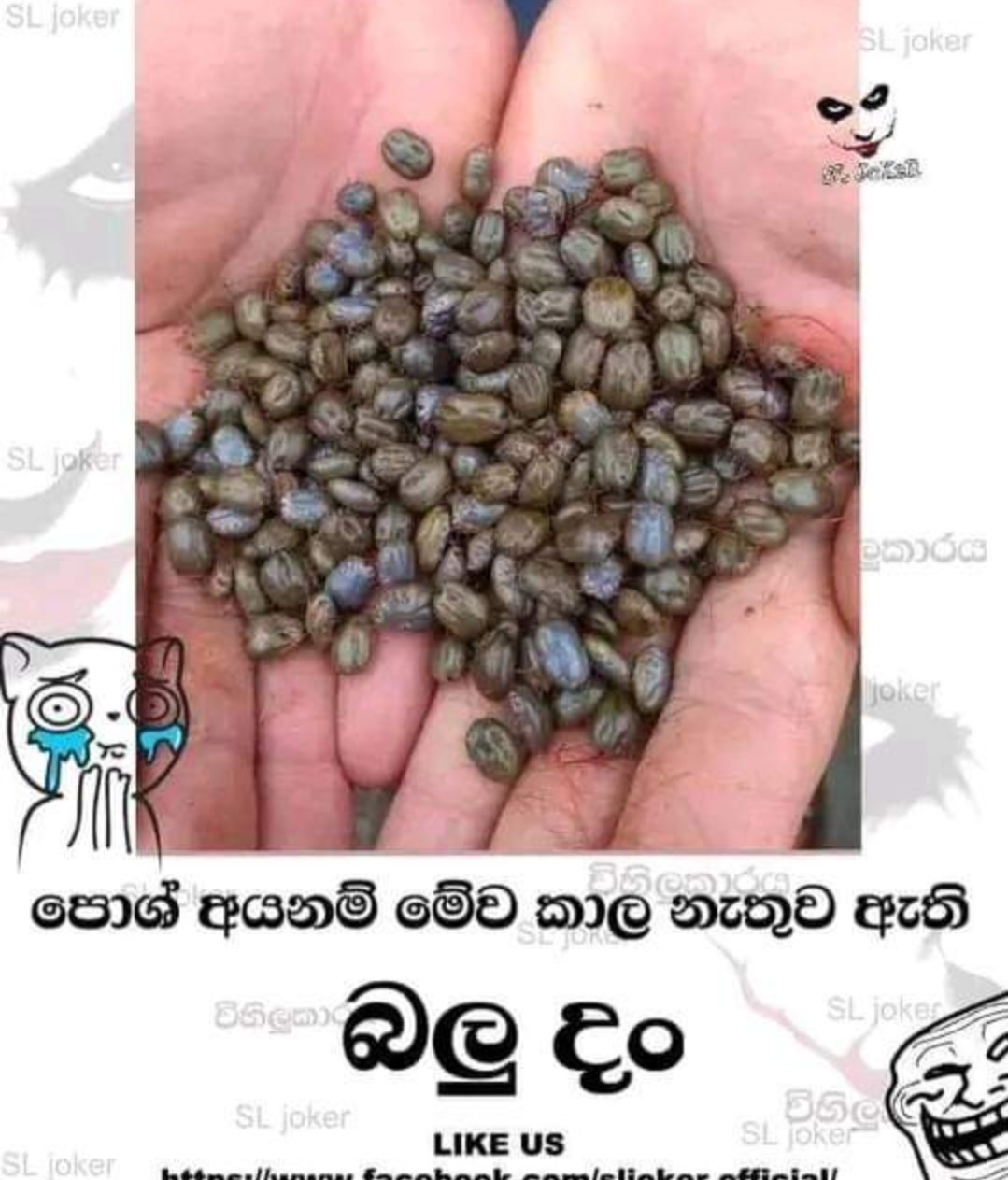 1000009158.jpg