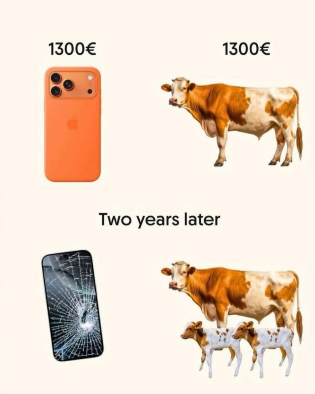 1000011898.jpg