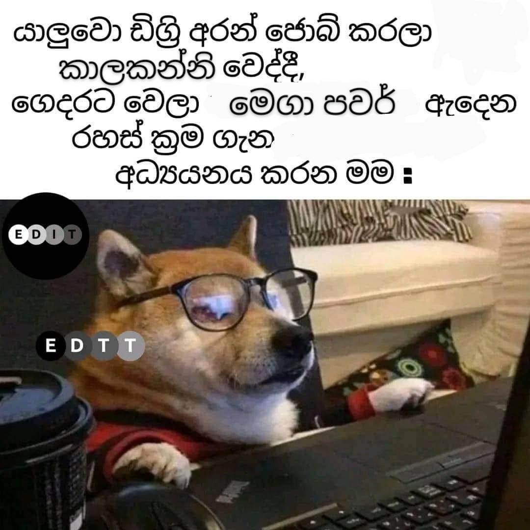 1000014925.jpg