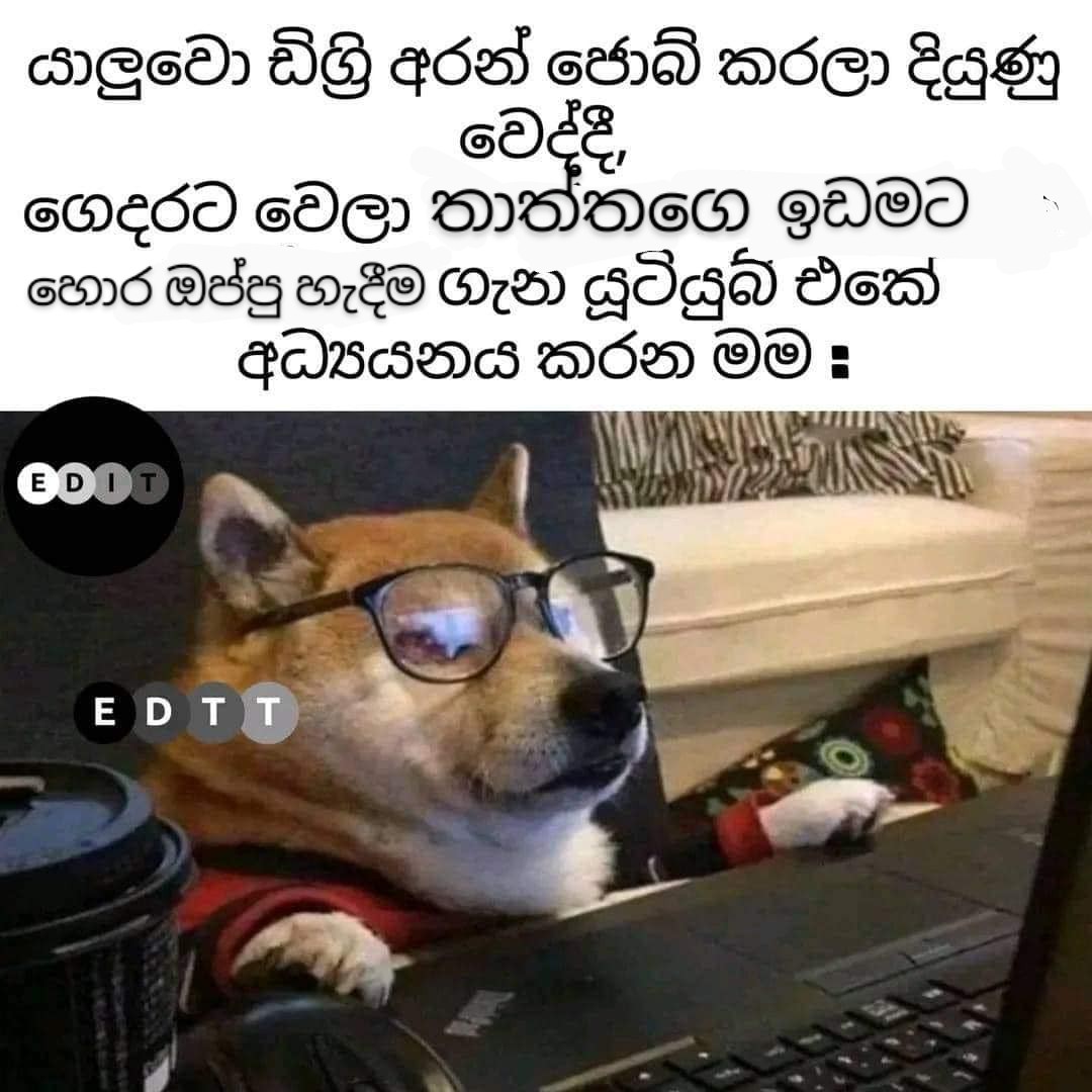 1000014926.jpg