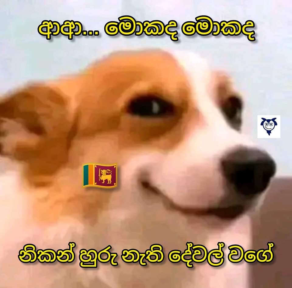 1000015182.jpg