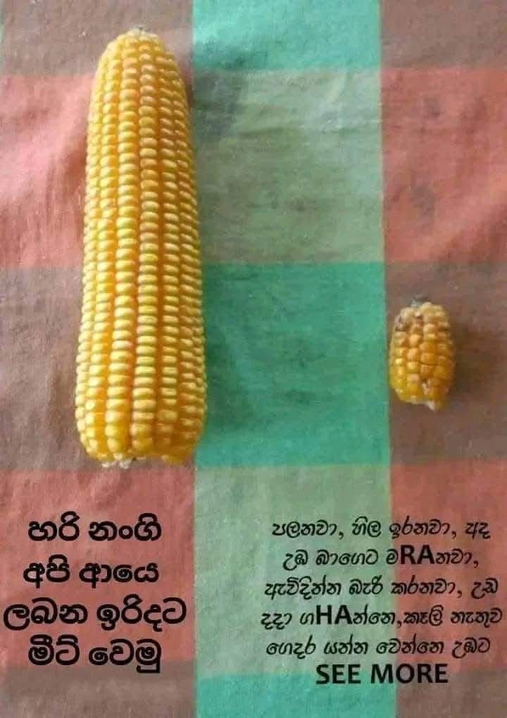 1000020140.jpg