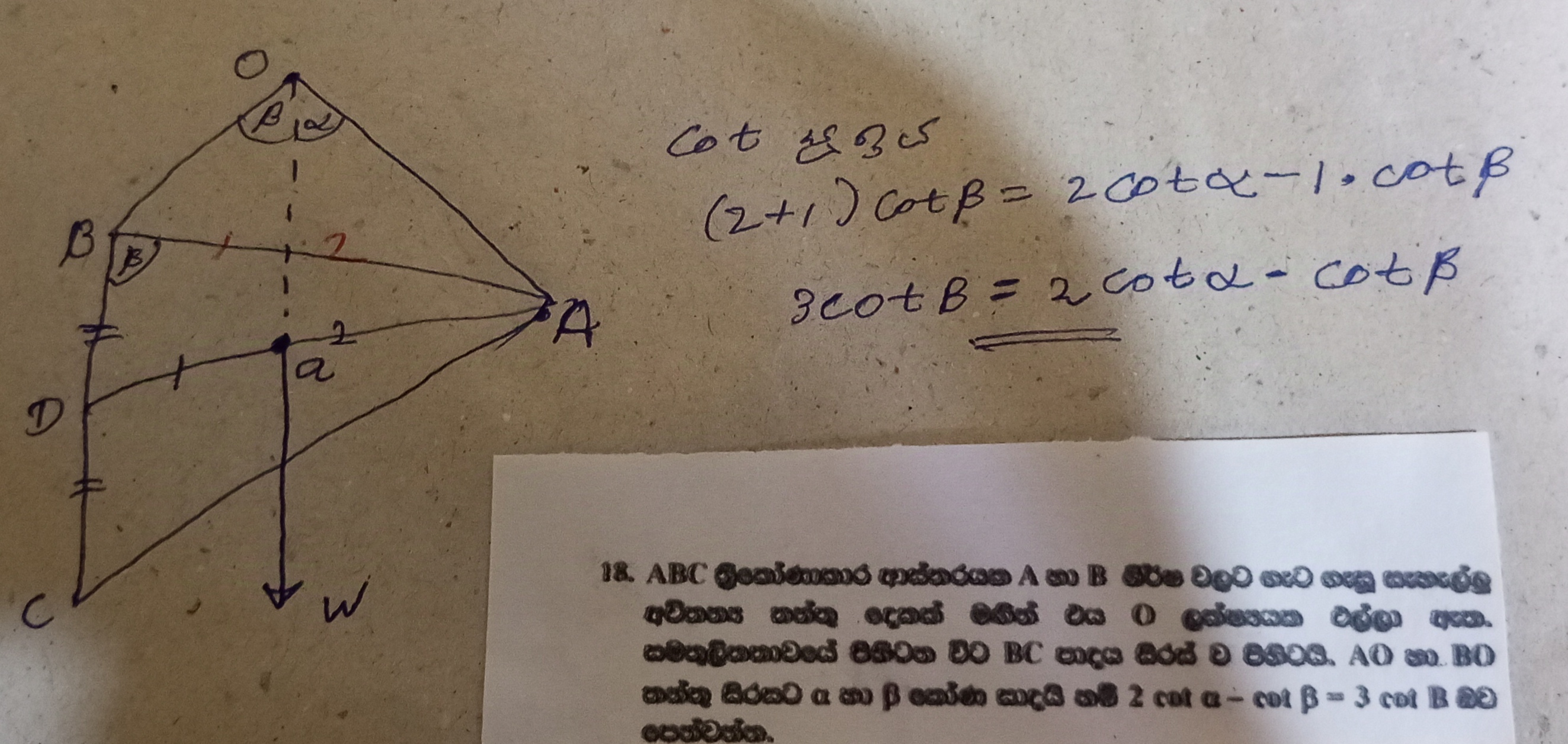 1000023951.jpg