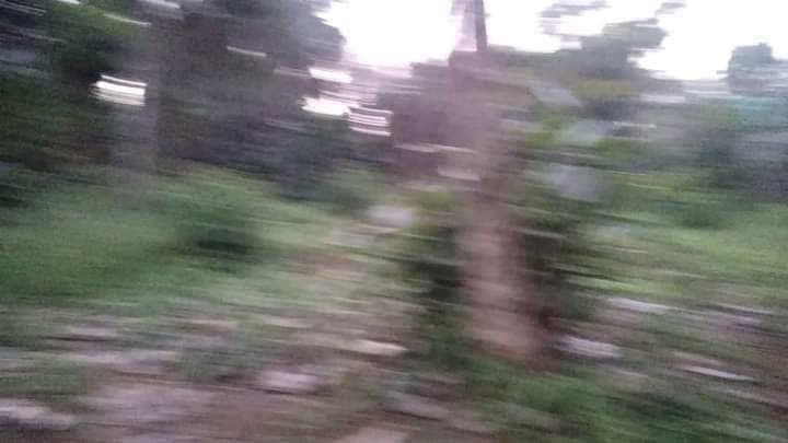 1000032632.jpg