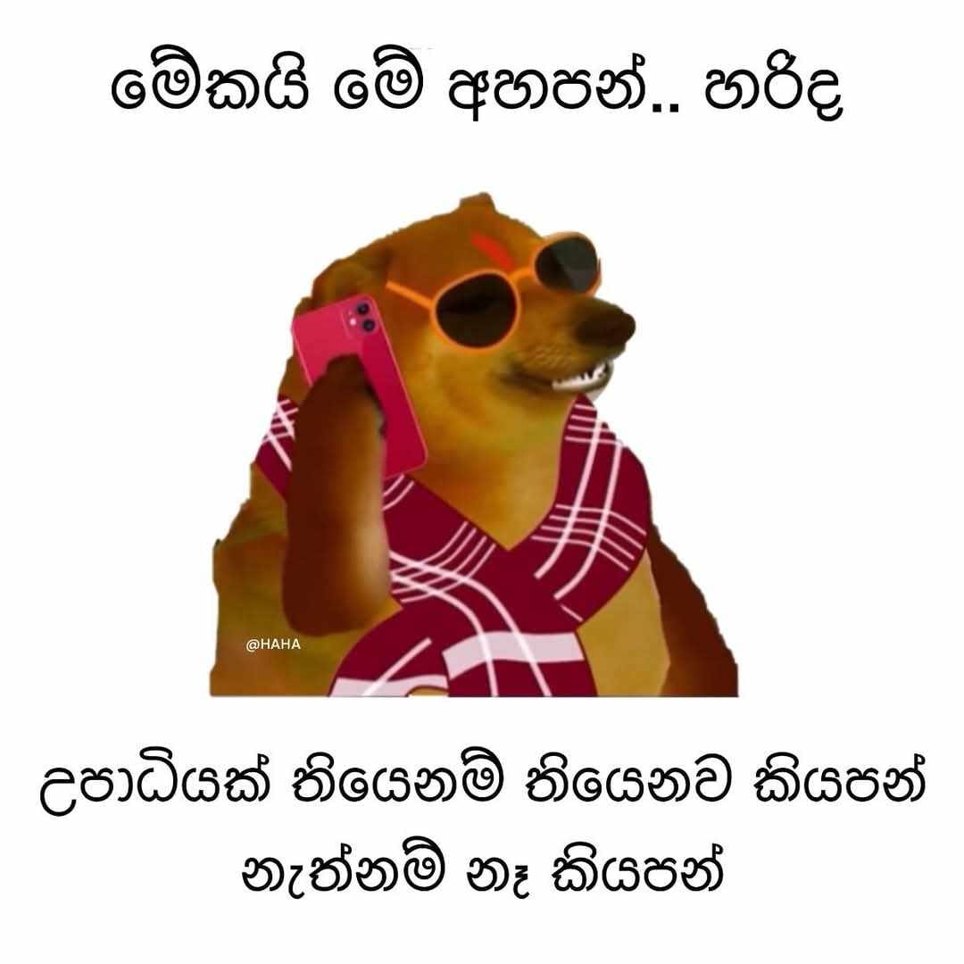 1000033619.jpg