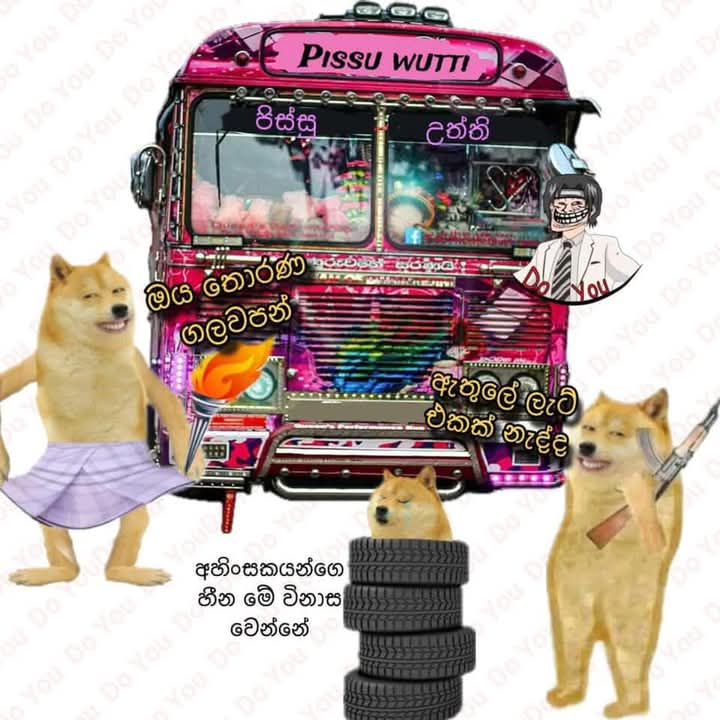 1000035187.jpg