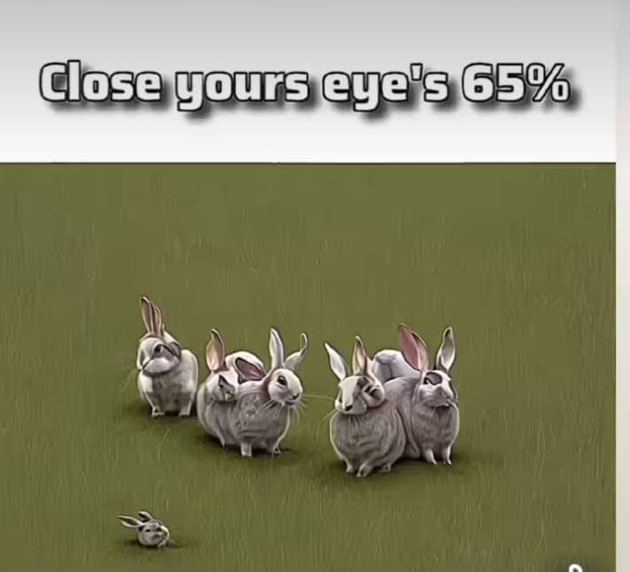 1000035629.jpg