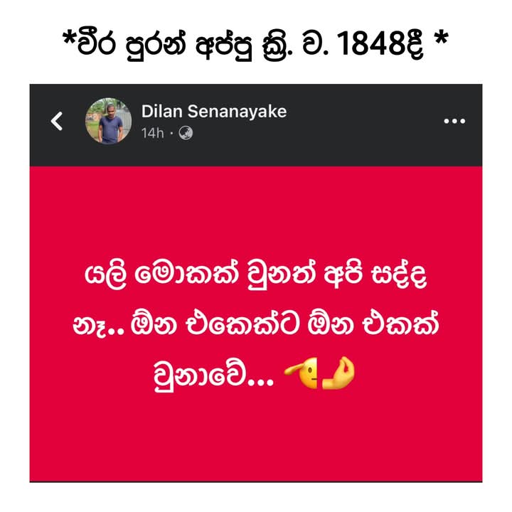 1000038472.jpg