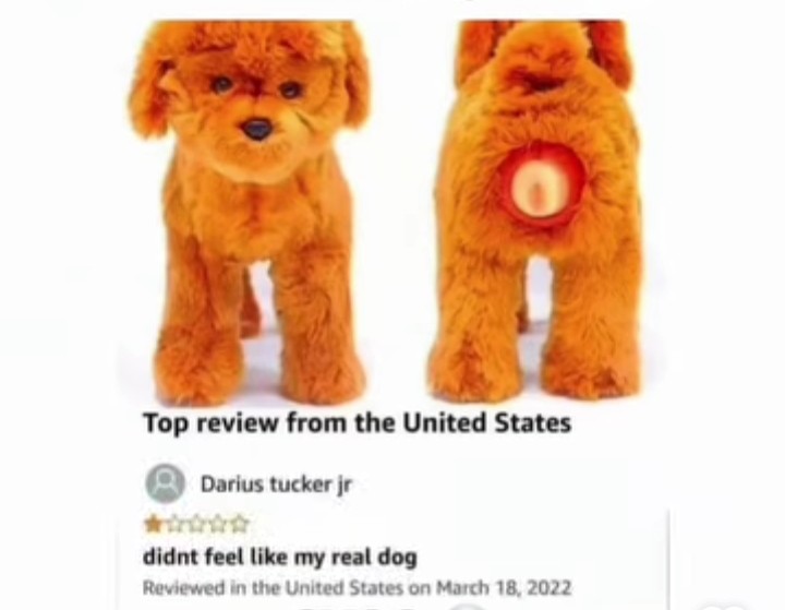 1000038897.jpg