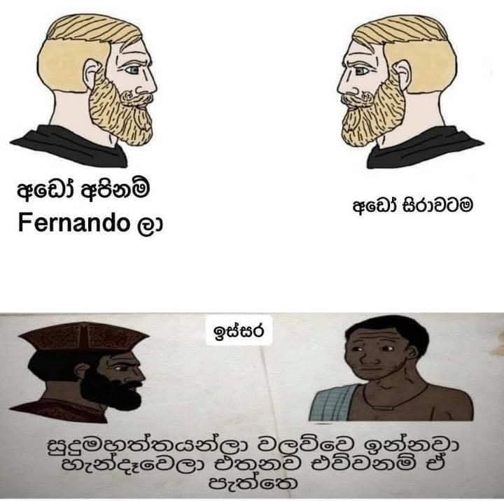1000039179.jpg