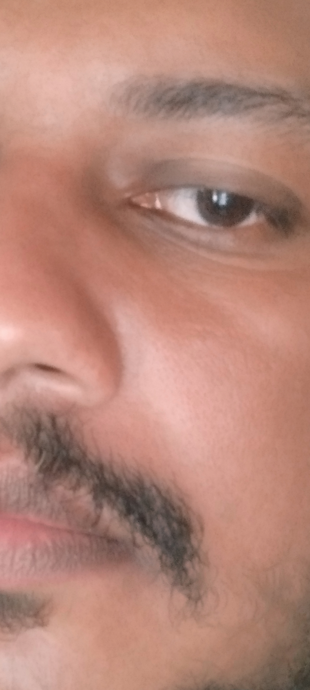 1000047259.jpg