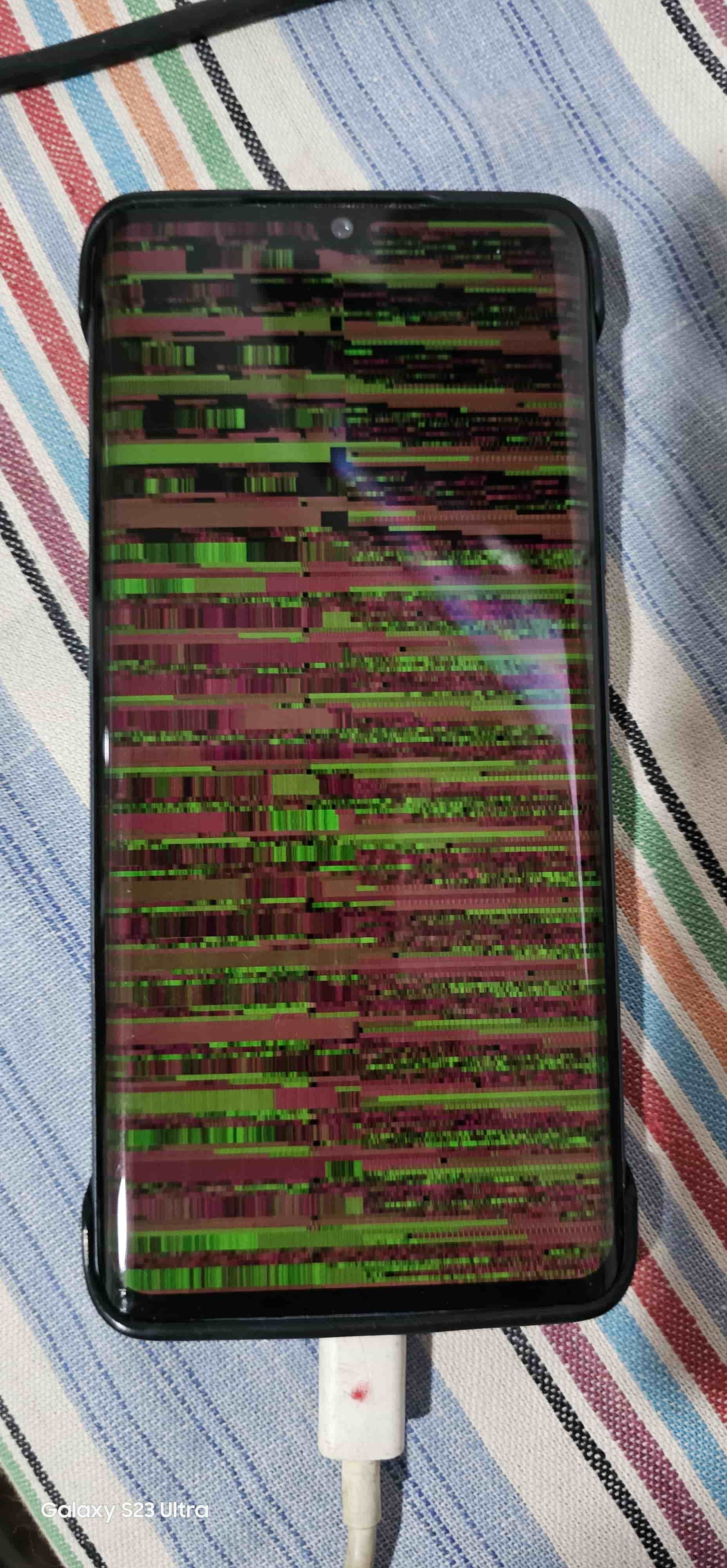 1000058992.jpg