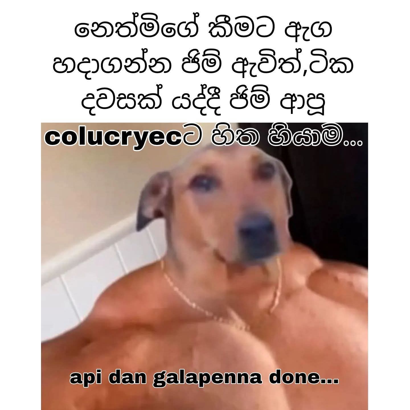 1000063585.jpg