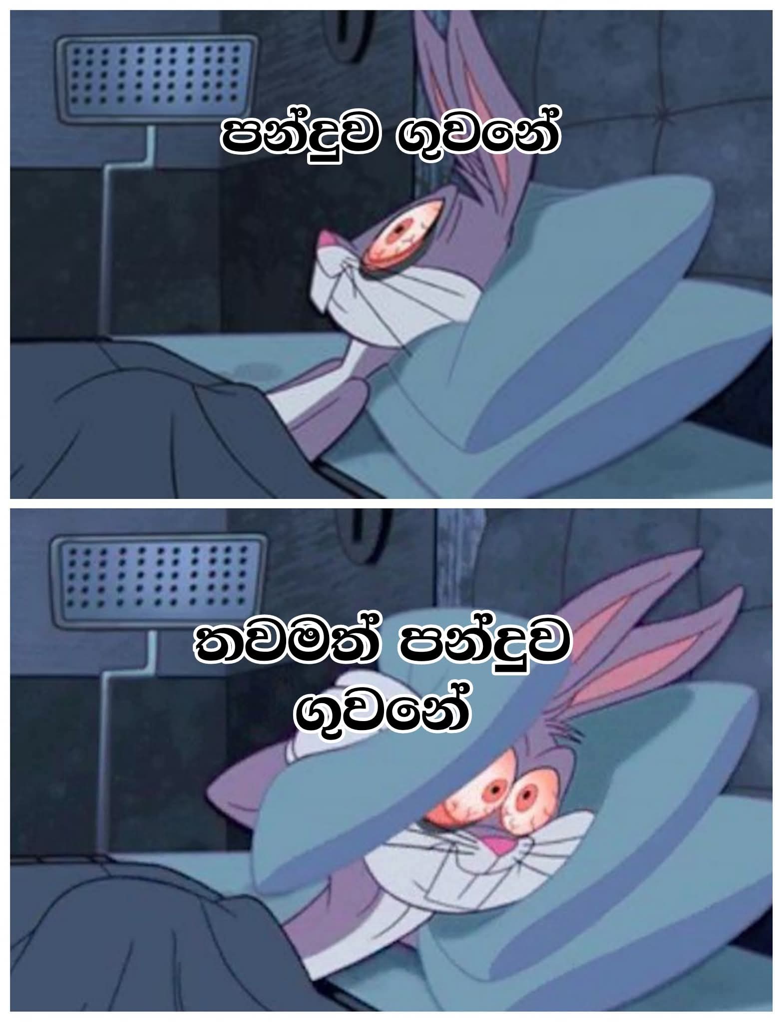 1000094718.jpg