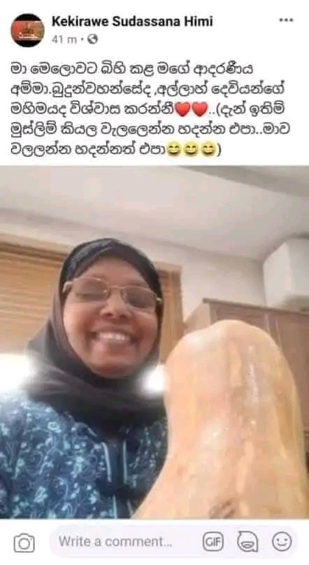 1000195510.jpg