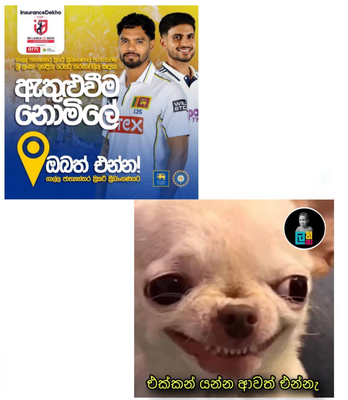 1000206927.jpg