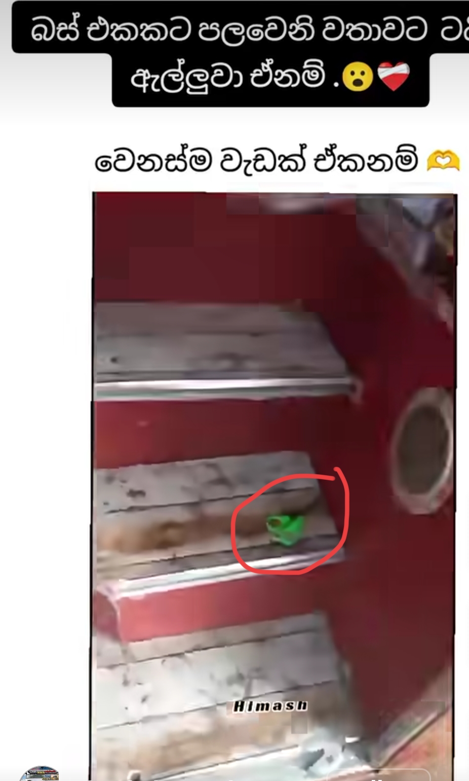 1000257945.jpg