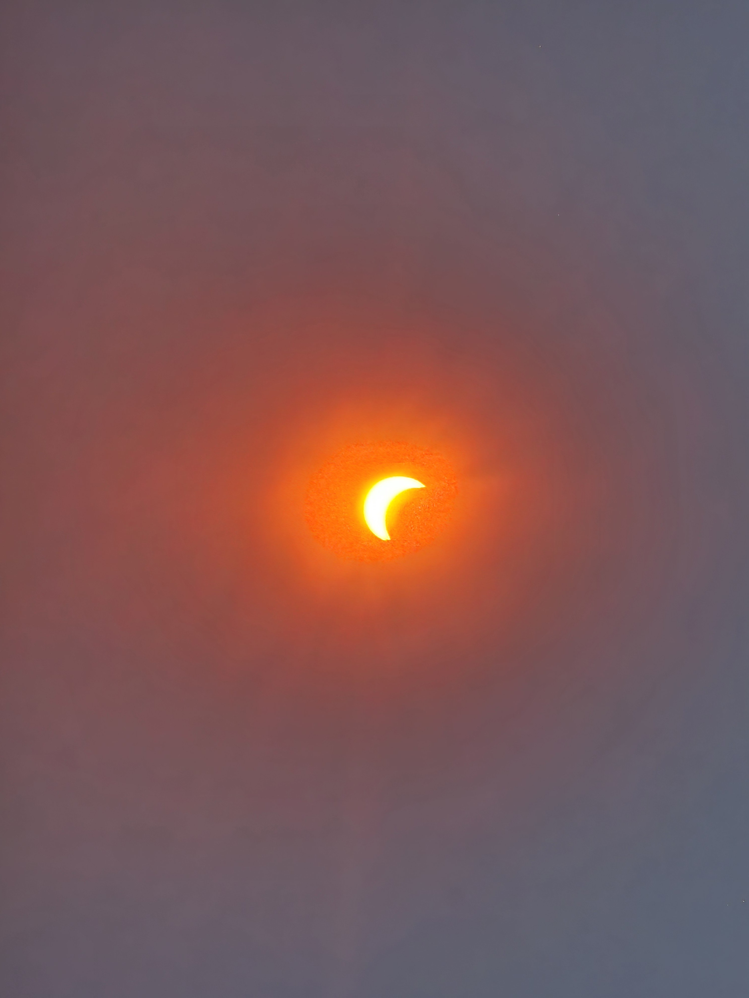 1000270414.jpg