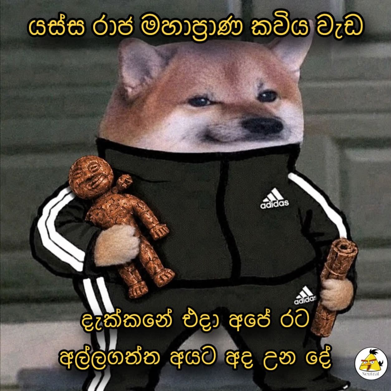 1000411996.jpg