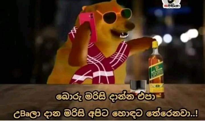 1000451026.jpg