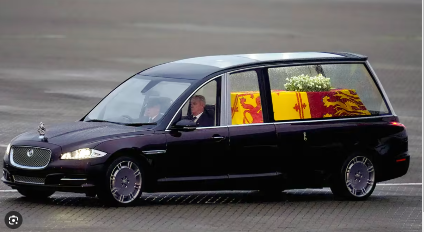 11.png