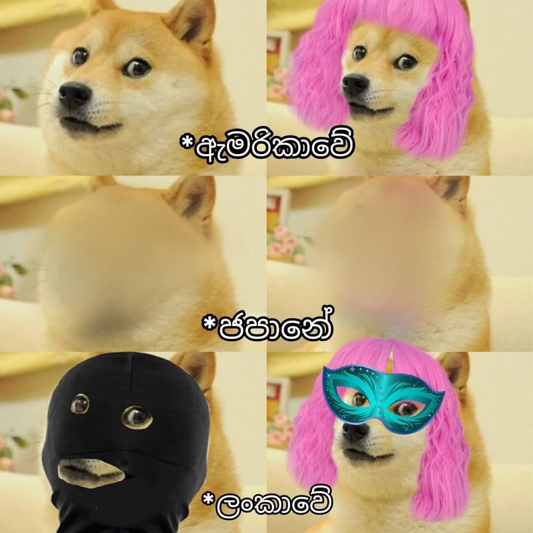 121513921_209104354125176_1979325706051642101_o.jpg