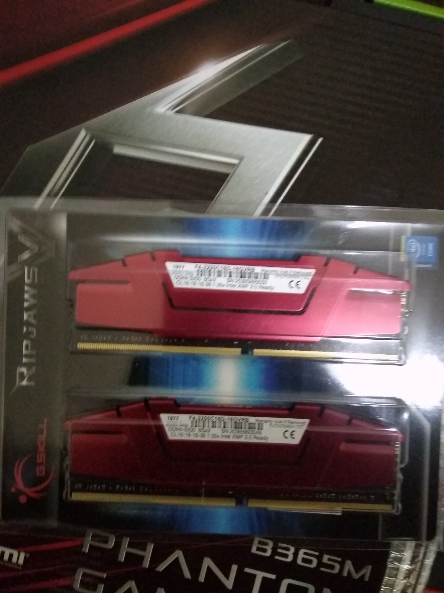 122564057_1054579961629763_8017941521272149954_o.jpg