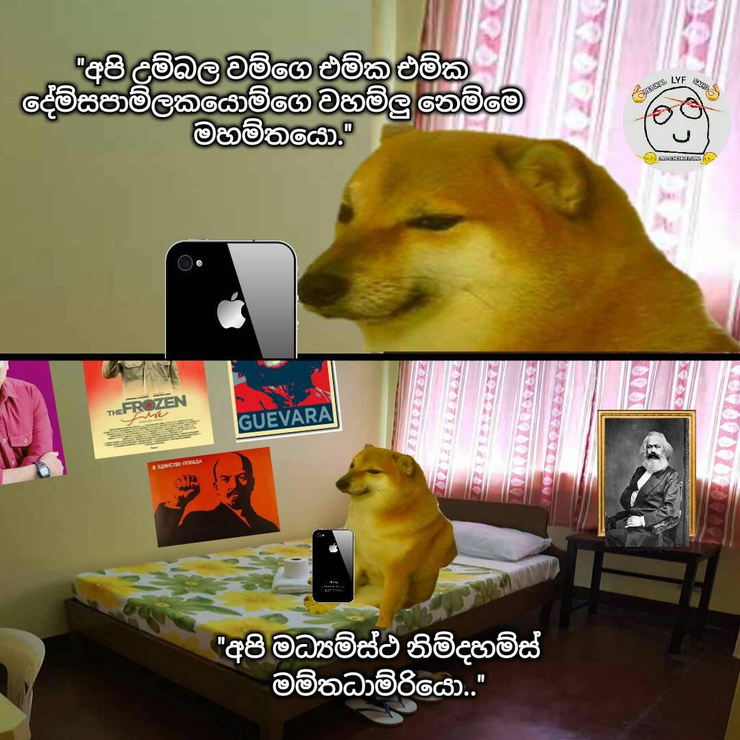 129347839_200062915037601_589721274095659001_o.jpg