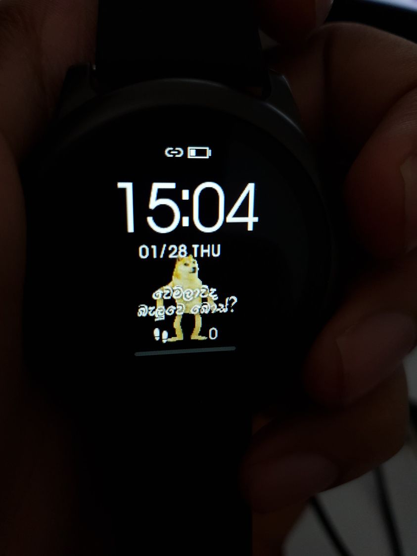 141378120_10225013867317694_1704725693479968022_o.jpg