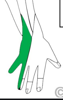 1594495310854.png