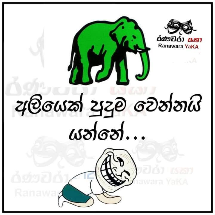 1596716493032.png