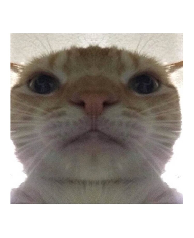 1597710020889.png