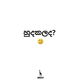 1606625371931.png