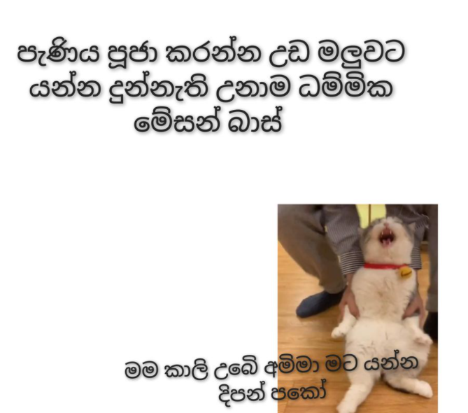 1608214340585.png